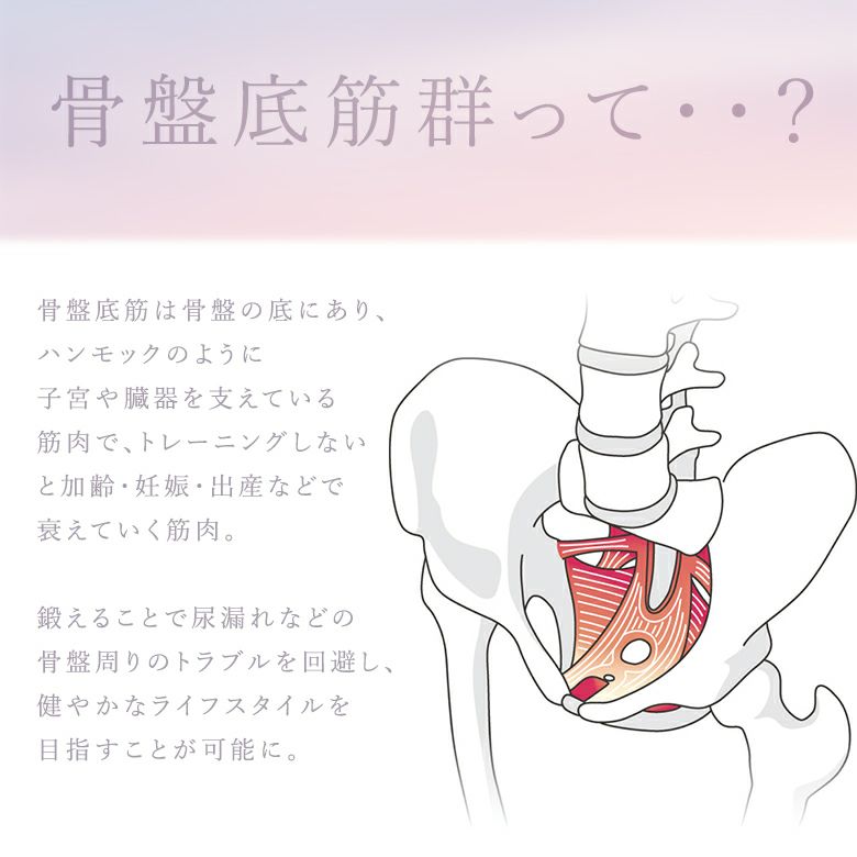 骨盤底筋クッション』 骨盤底筋クッション』
