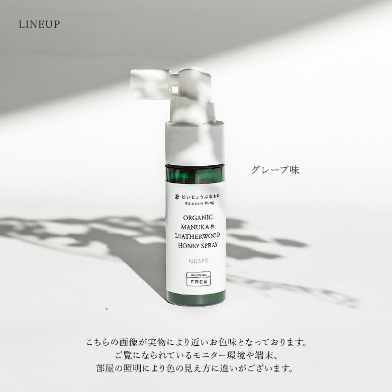百年はちみつ液体のど飴スプレー（グレープ味）』